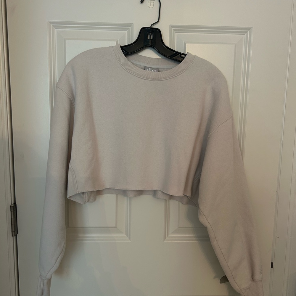 Aritzia Cropped Sweatshirt